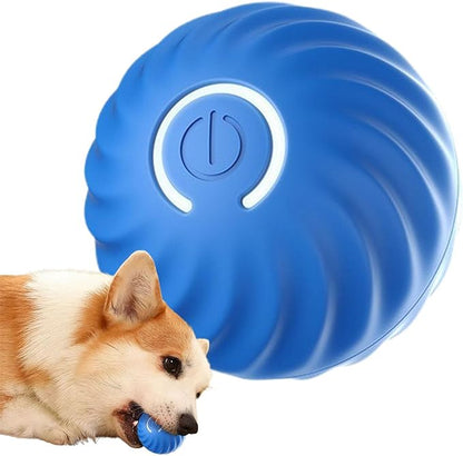 Intelligens labda kutyáknak 🐶