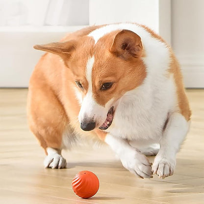 Intelligens labda kutyáknak 🐶