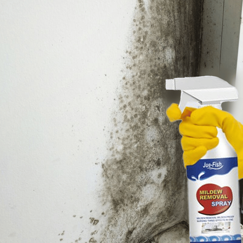 Rendkívül hatékony penészeltávolító spray - Megakadályozza a penészesedést🦠