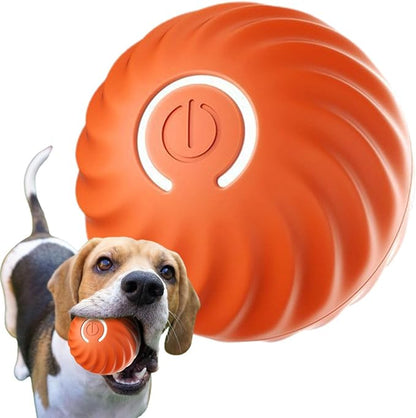 Intelligens labda kutyáknak 🐶