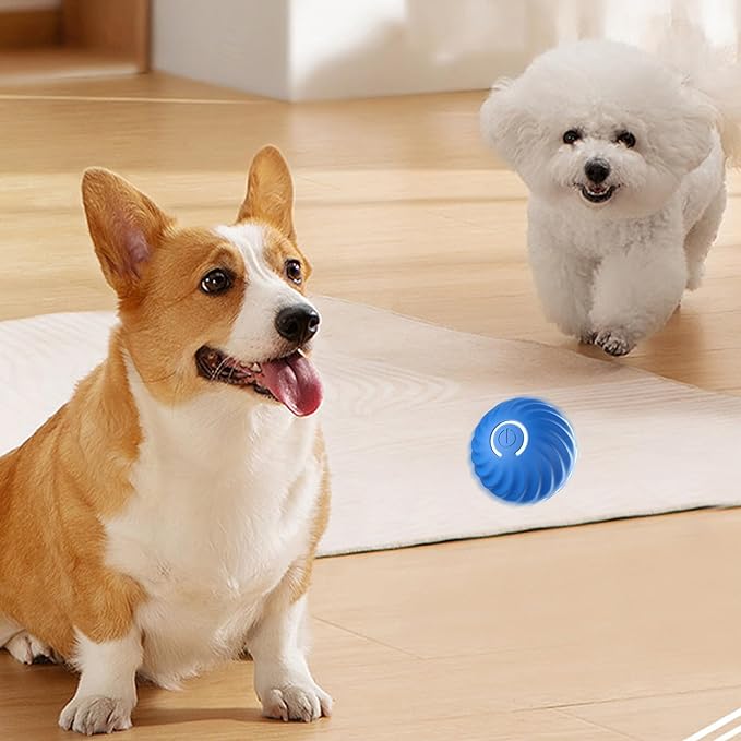 Intelligens labda kutyáknak 🐶
