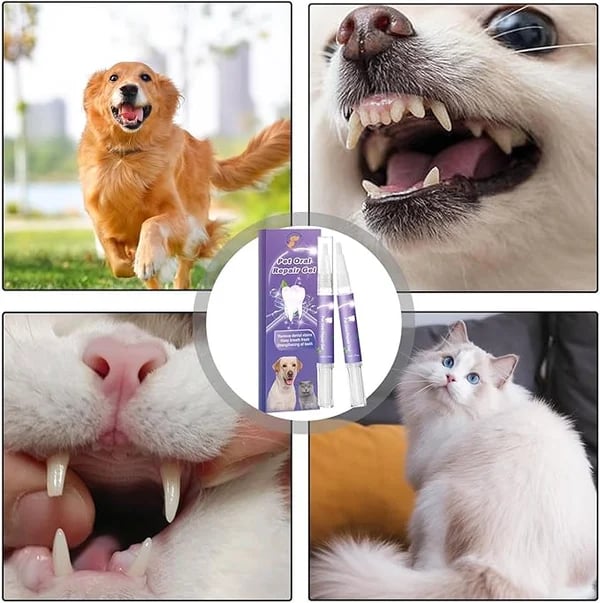 🐕Utolsó nap Vásárolj 1et, kapj 1et ingyen🐱Pet Orális javító gél🌈